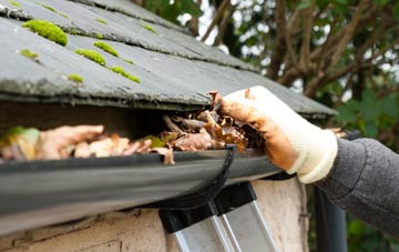 gutter cleaning Hayston, East Dunbartonshire